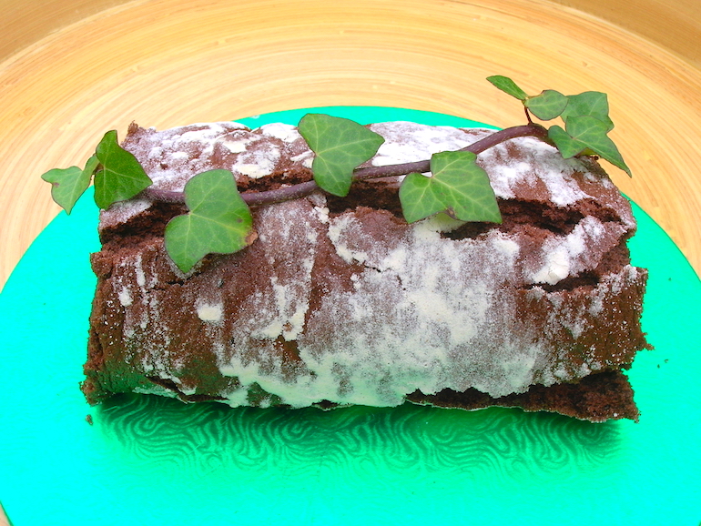 Chocolate Log with a Boozy Whipped Dark Chocolate Ganache Filling.