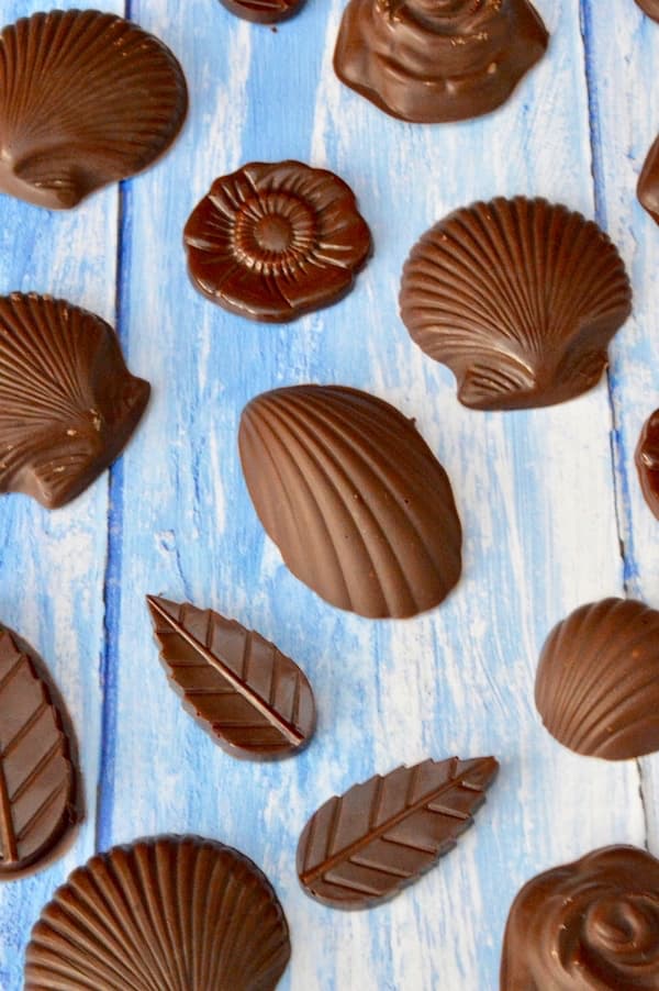 Shell shaped homemade mint chocolates laid out on a blue board.