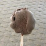A mini chocolate covered chocolate ice pop.