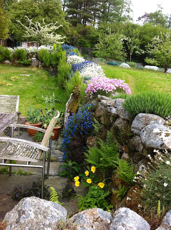 A Cornish Moorland Spring Garden.