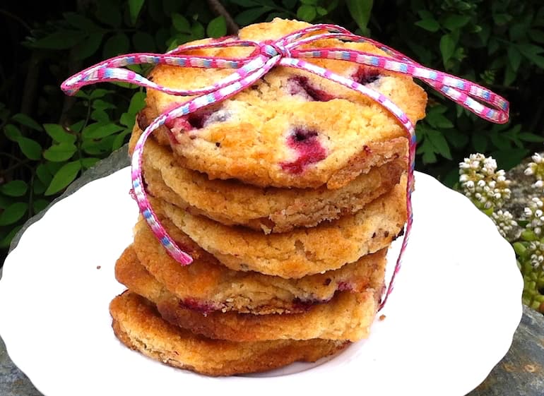 A stack of blackcurrant and white chocolate cookies tied up with ribbon.