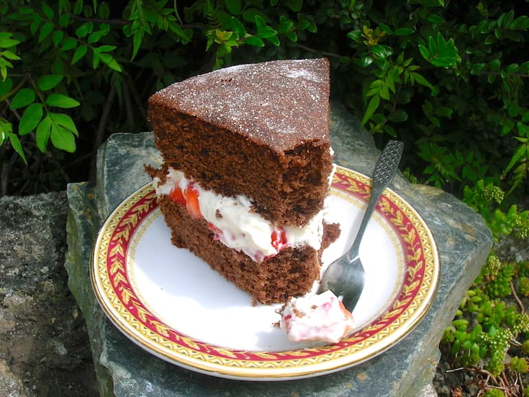 A slice of gluten free chocolate cake with mint strawberry cream.