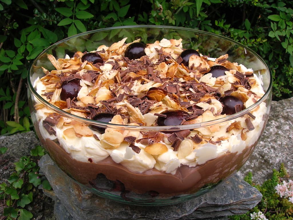 A bowl of cherry chocolate trifle sitting on a garden wall.