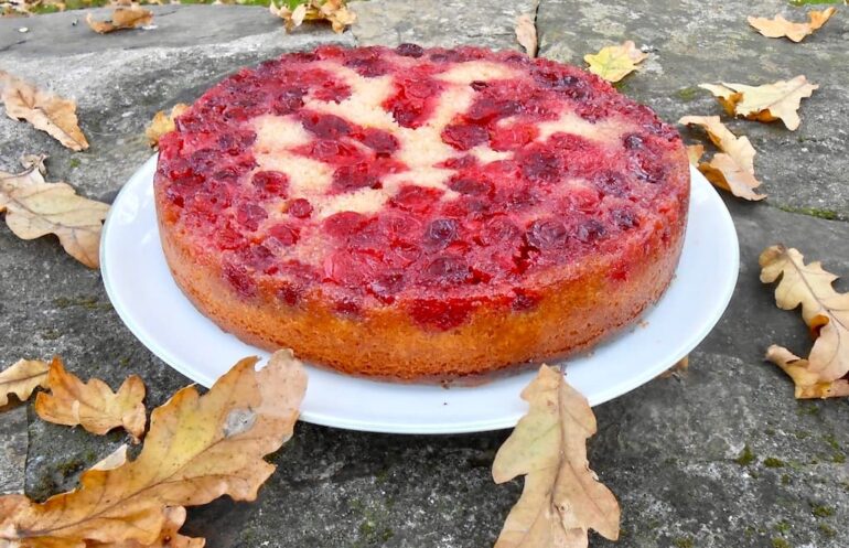 Cranberry upside-down cake on a white plate surrounded by autumn leaves.