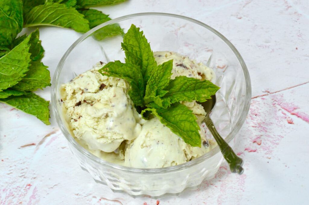 A bowl with three scoops of mint chocolate chip ice cream with spoon and sprig of Moroccan mint.