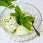 A bowl with three scoops of mint chocolate chip ice cream with spoon and sprig of Moroccan mint.