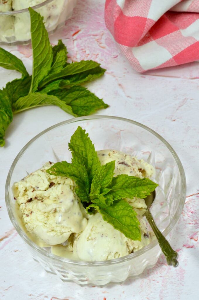 A bowl with three scoops of mint chocolate chip ice cream with spoon and sprig of Moroccan mint.