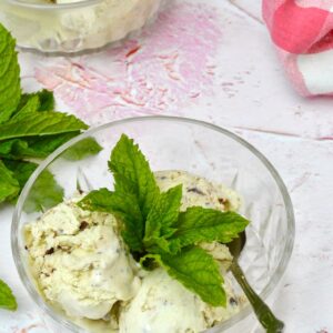 A bowl with three scoops of mint chocolate chip ice cream with spoon and sprig of Moroccan mint.
