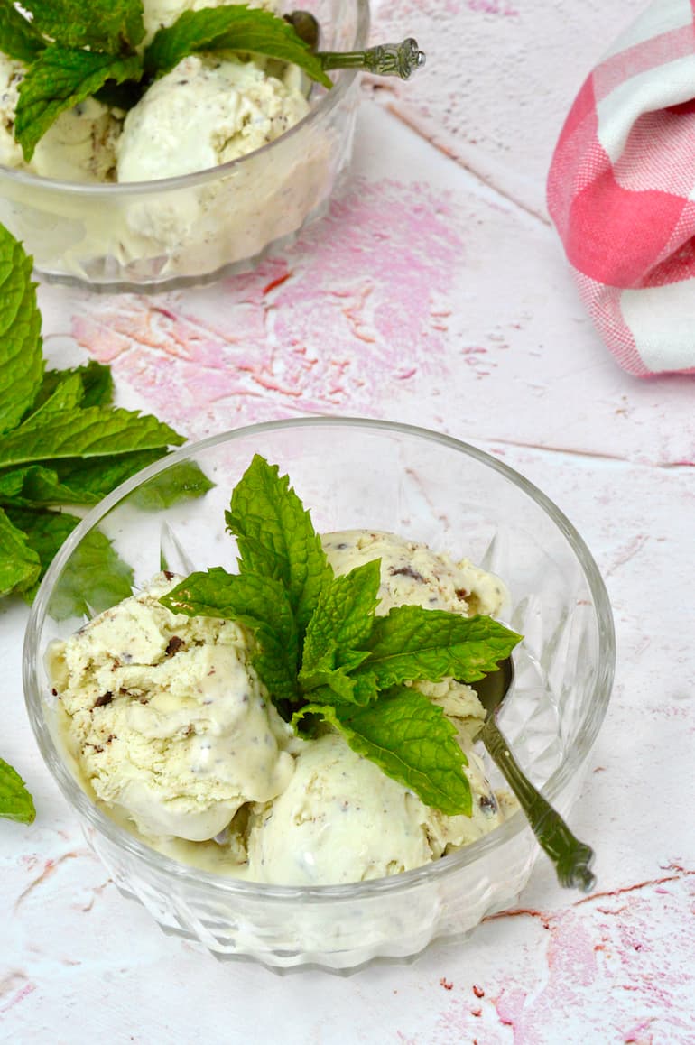 Mint Chocolate Chip Ice Cream: Made With Fresh Mint | Tin and Thyme