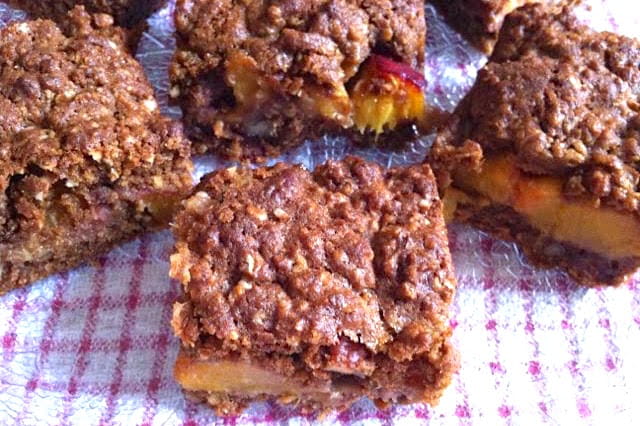 Nectarine pecan slice cut into squares on a red check cloth.
