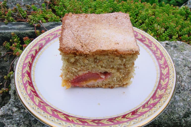 A slice of Victoria plum cake traybake.