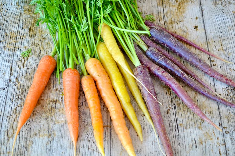 A bunch of multicoloured carrots complete with green tops. For All The Carrot Recipes You Will Ever Need.