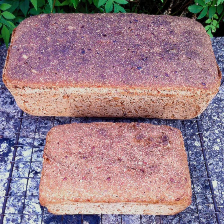 Two loaves of homemade rye sourdough cooling on a rack.