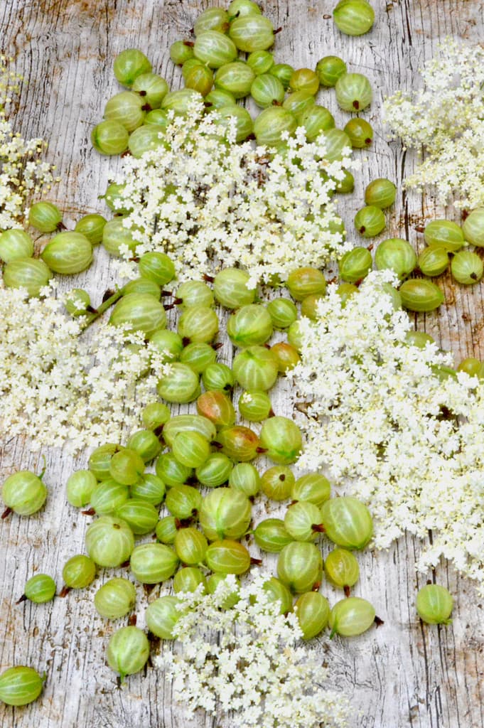 Gooseberry Jam With Optional Elderflower Tin and Thyme
