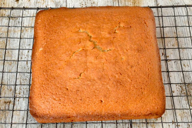 Square sponge cooling on a wire rack.