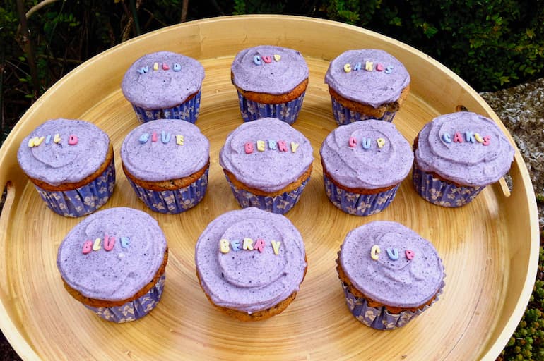 A tray of wild blueberry cupcakes.