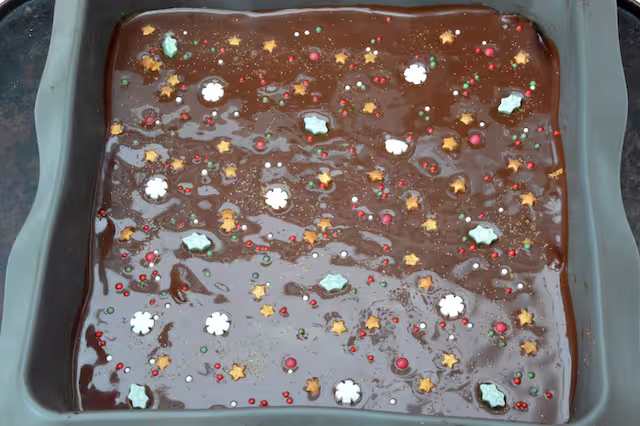 Melted chocolate covered in sprinkles.