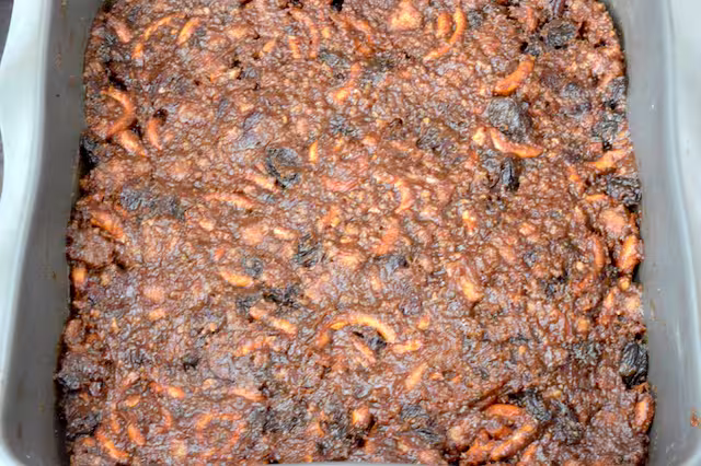 Christmas tiffin mix pressed into tin.