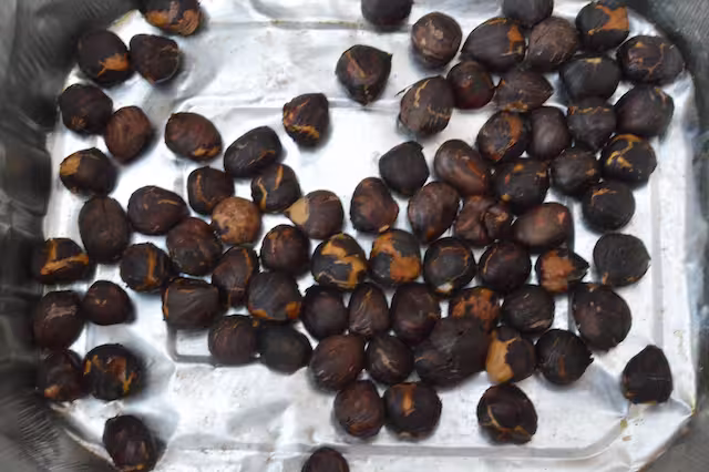 Roasted hazelnuts in tin.