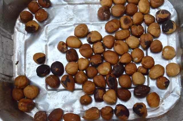 Skinned hazelnuts in tin.