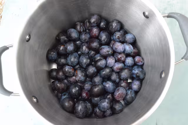 Fresh damsons in large pan.