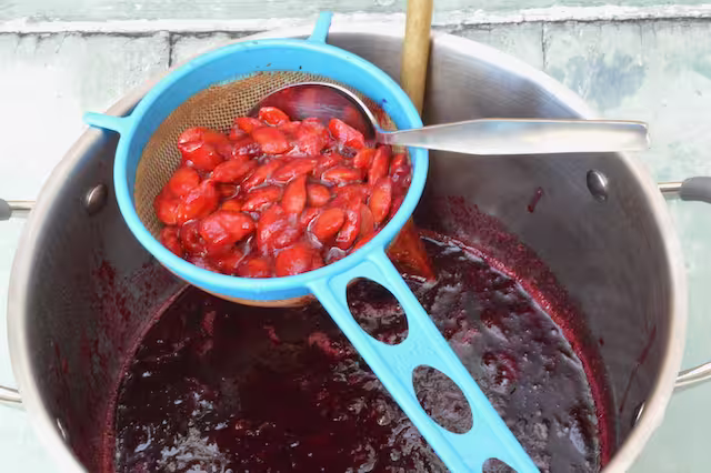 Damson stones in sieve over pan.