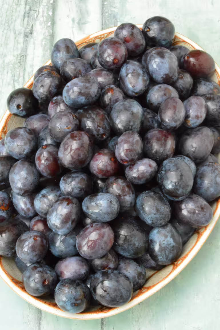 Platter of damsons piled on top of each other.