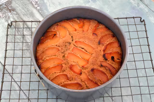 Baked cake in tin on cooling rack.