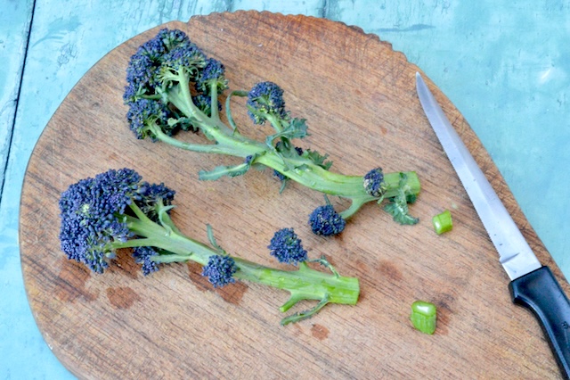 Ends trimmed off a couple of purple sprouting broccoli stems.