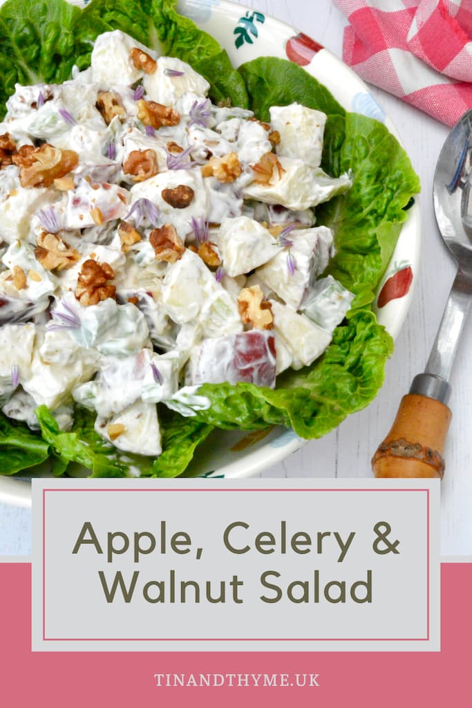 Partial view of apple, celery and walnut salad bowl.