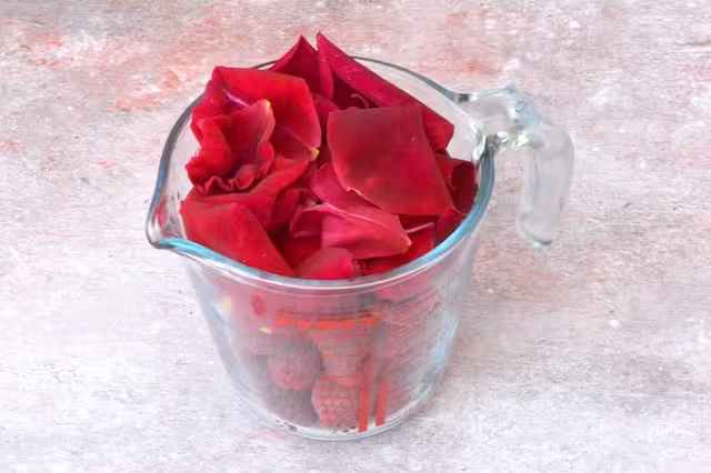 Raspberries and rose petals in jug.