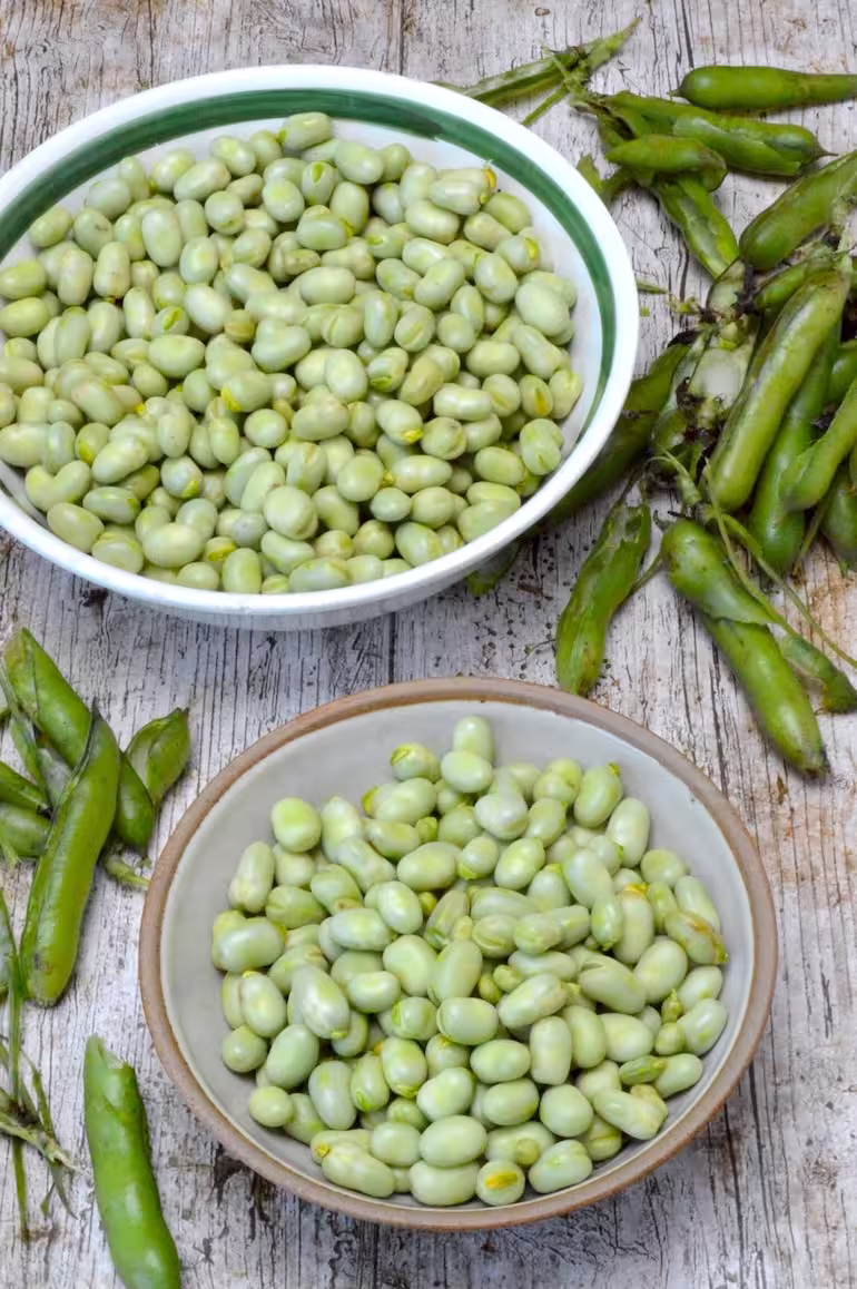 Podded garden broad beans in two bowls.
