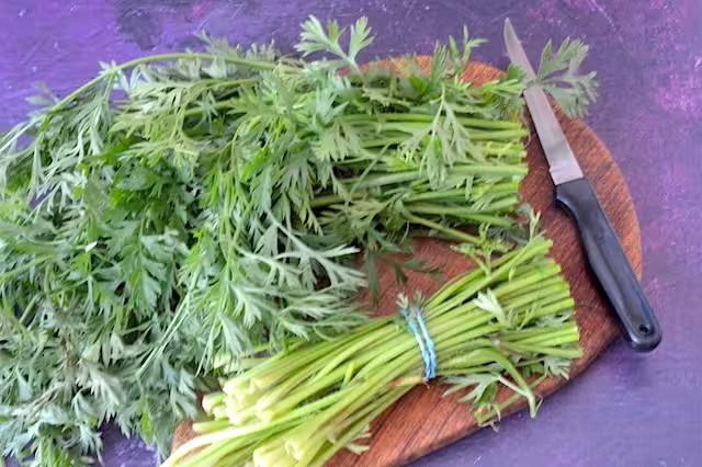 Carrot top stems cut off on board with knife.