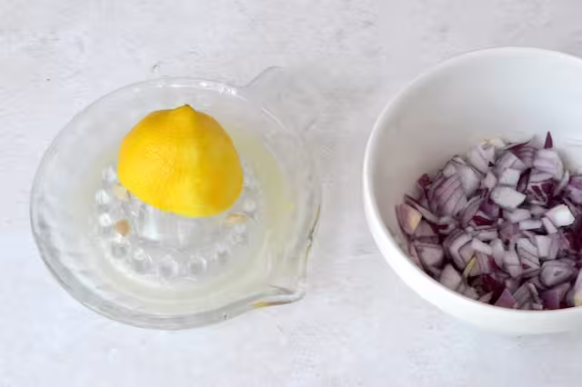Lemon being juiced and bowl of chopped red onion.