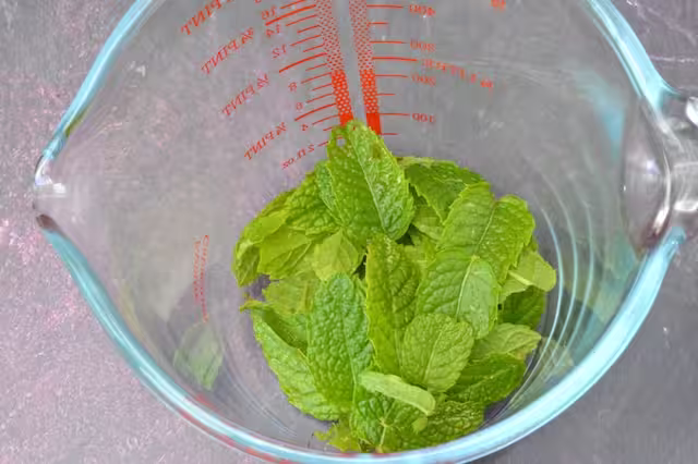 Mint leaves in jug.