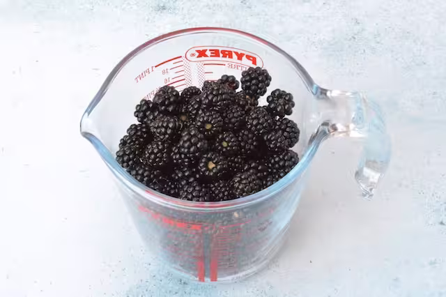 Foraged blackberries in glass jug.