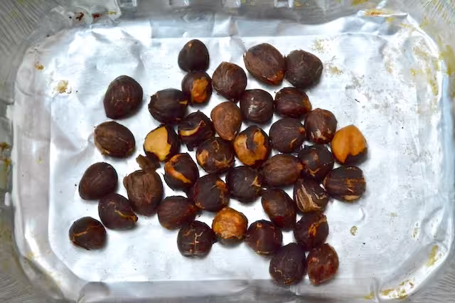 Roasted hazelnuts in foil tray.