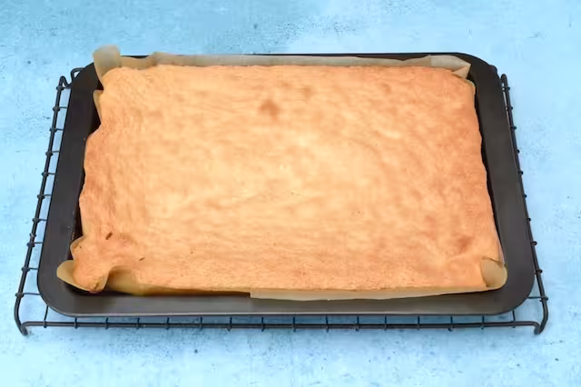 Baked genoise sponge in tin.