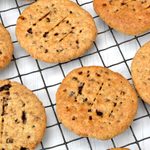 Close up of homemade wholemeal Chorley cakes cooling on wire rack.