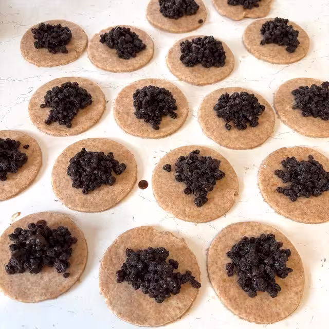 Filling placed in middle of pastry circles.